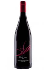 Stokhem wijndomein Pinot Noir reserva