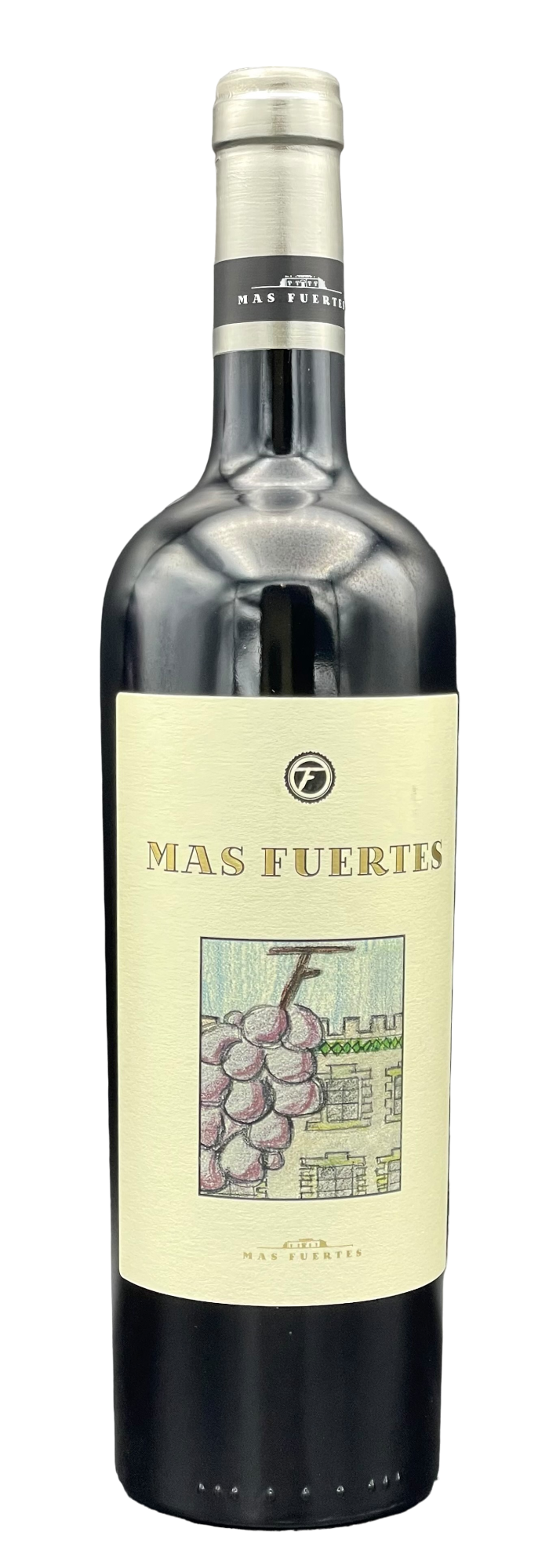 Mas Fuertes Blend Syrah / Cabernet Sauvignon